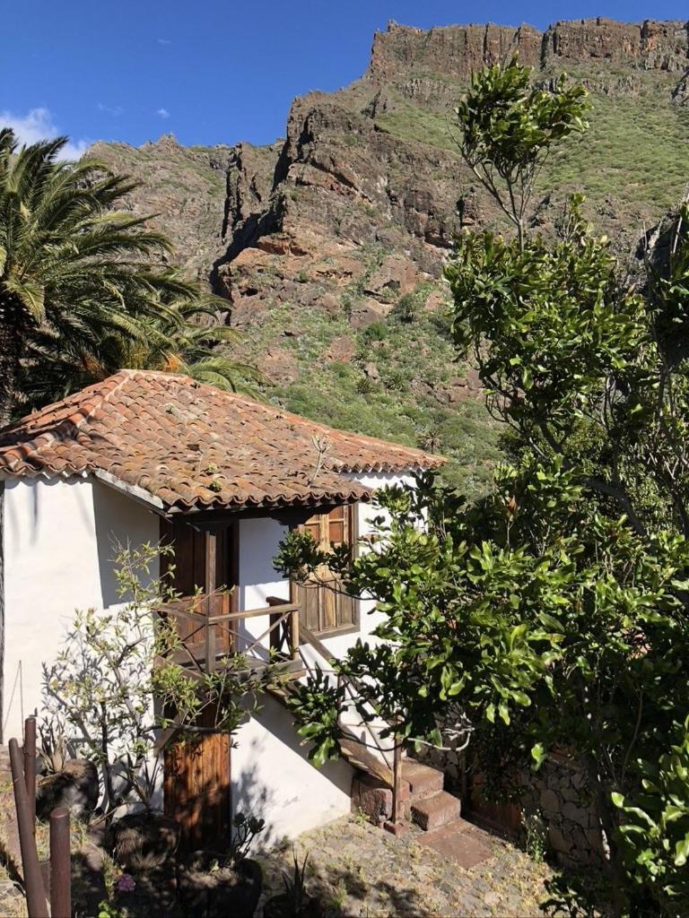 Home2Book El Encanto De La Torre I Santa Cruz de Tenerife Eksteriør billede
